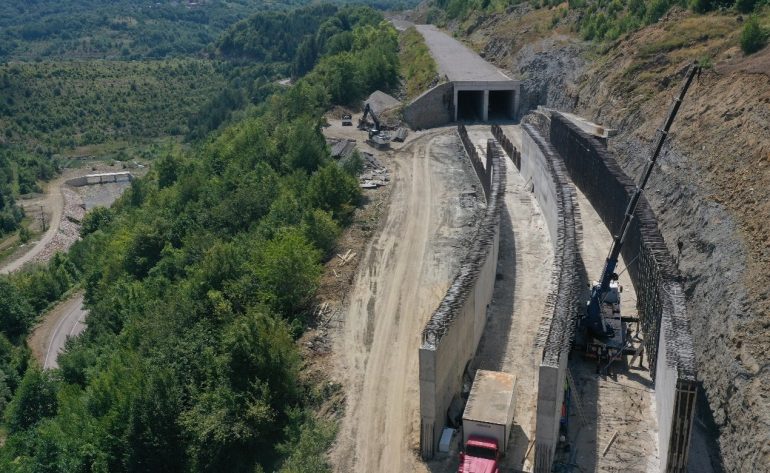 erfelekayancık01